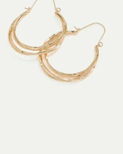 Large Multi-Layer Organic Hoops